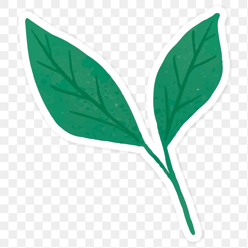 Green leaf sticker png