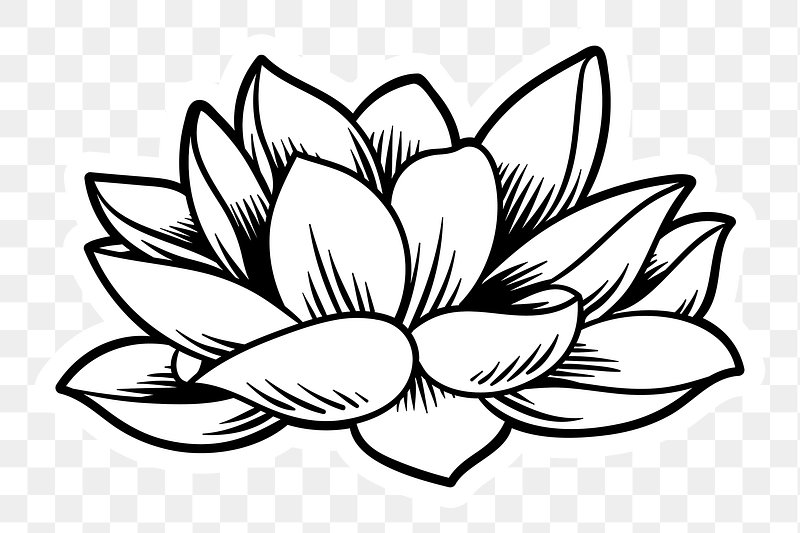 lotus clip art black and white