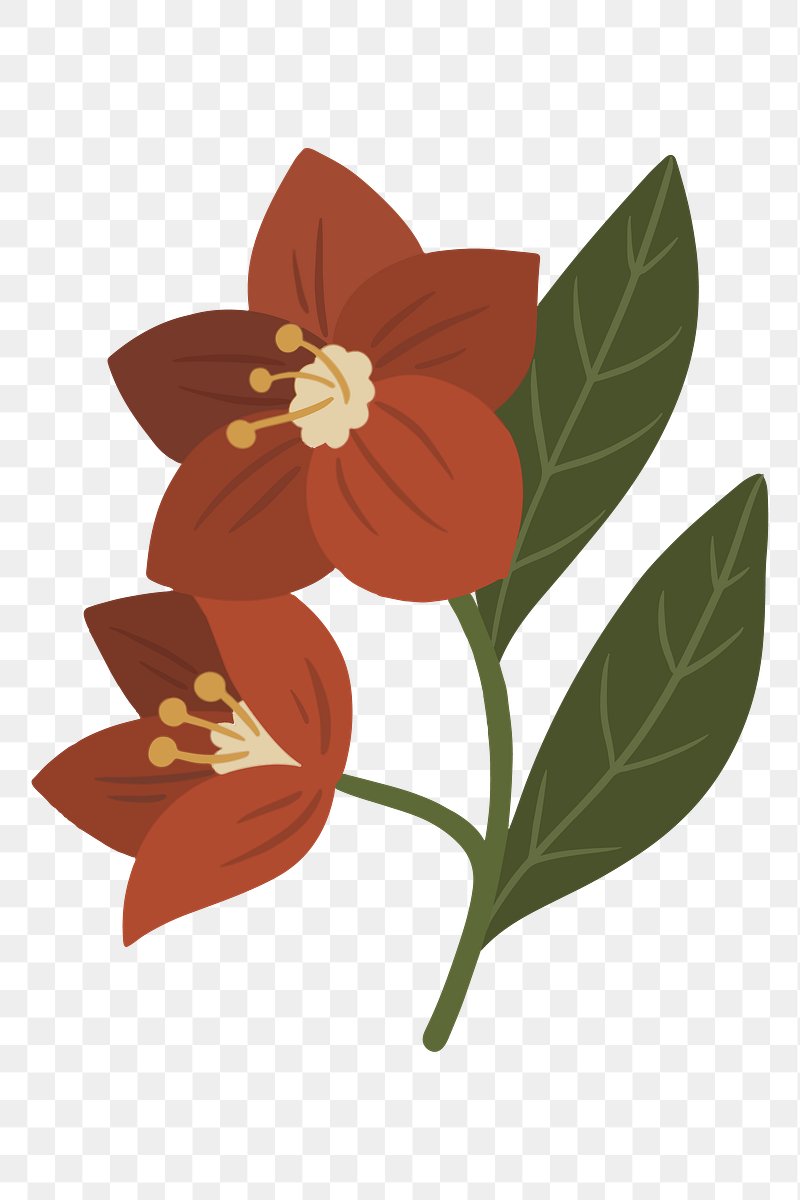 Blooming red botanical transparent png | Free PNG Sticker - rawpixel