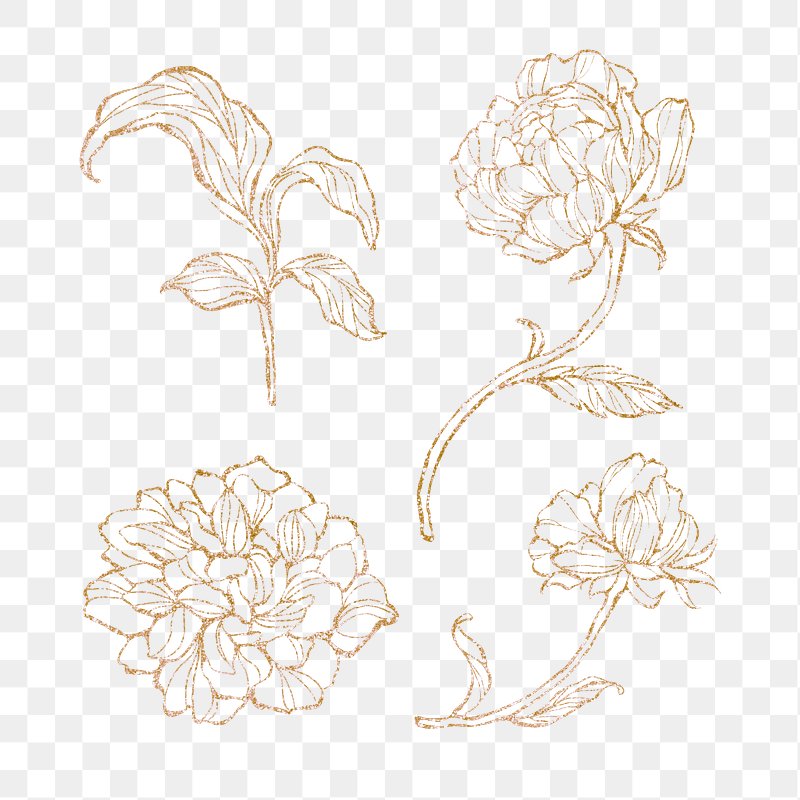 gold flower png royalty free stock transparent png 2019724 download premium png of gold floral outline transparent png 2019724