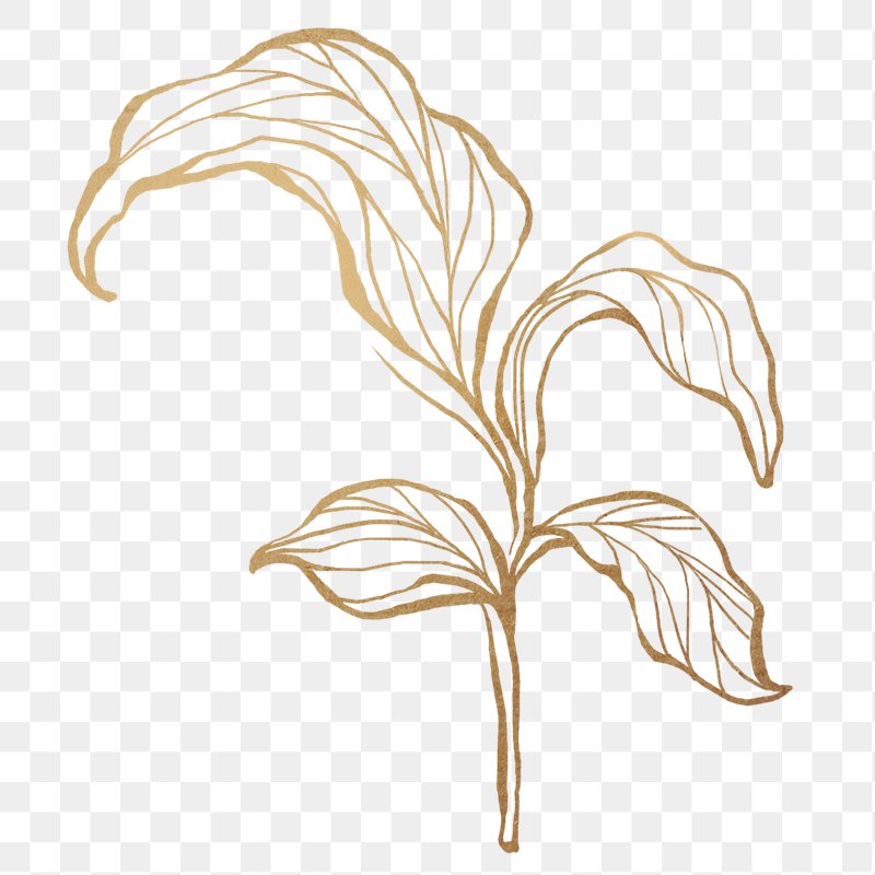 Golden Leaf Png