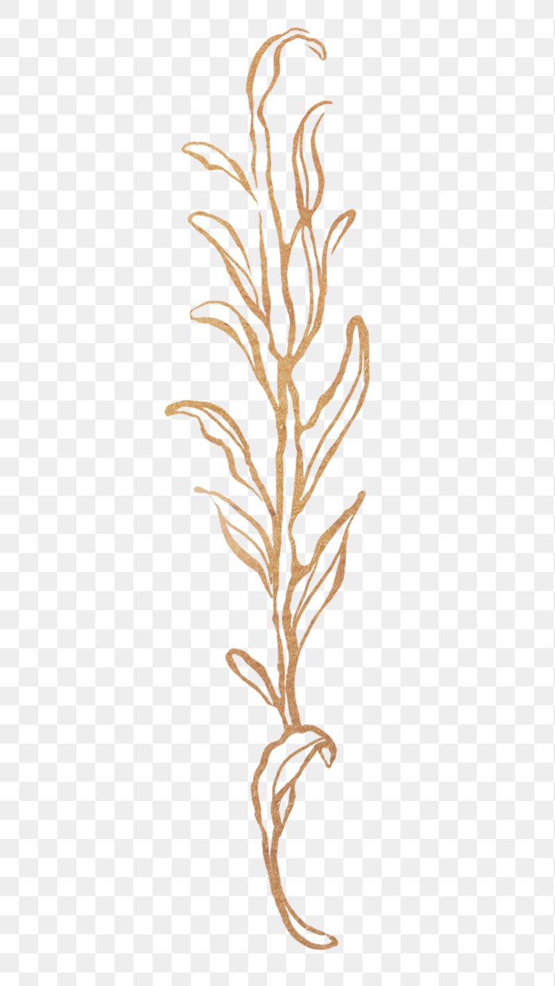 Golden Leaf Png