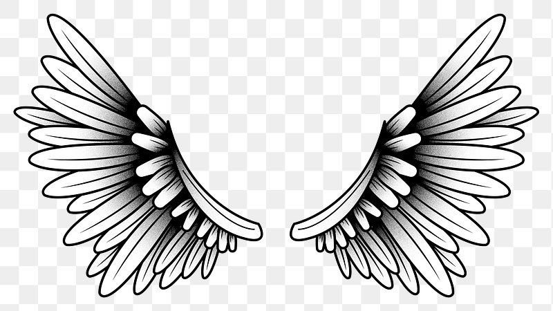 clipart wings