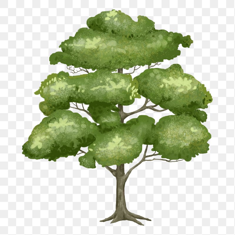Tree PNG Images | Free PNG Vector Graphics, Effects & Backgrounds - rawpixel Tree PNG Images | Free PNG Vector Graphics, Effects & Backgrounds - rawpixel