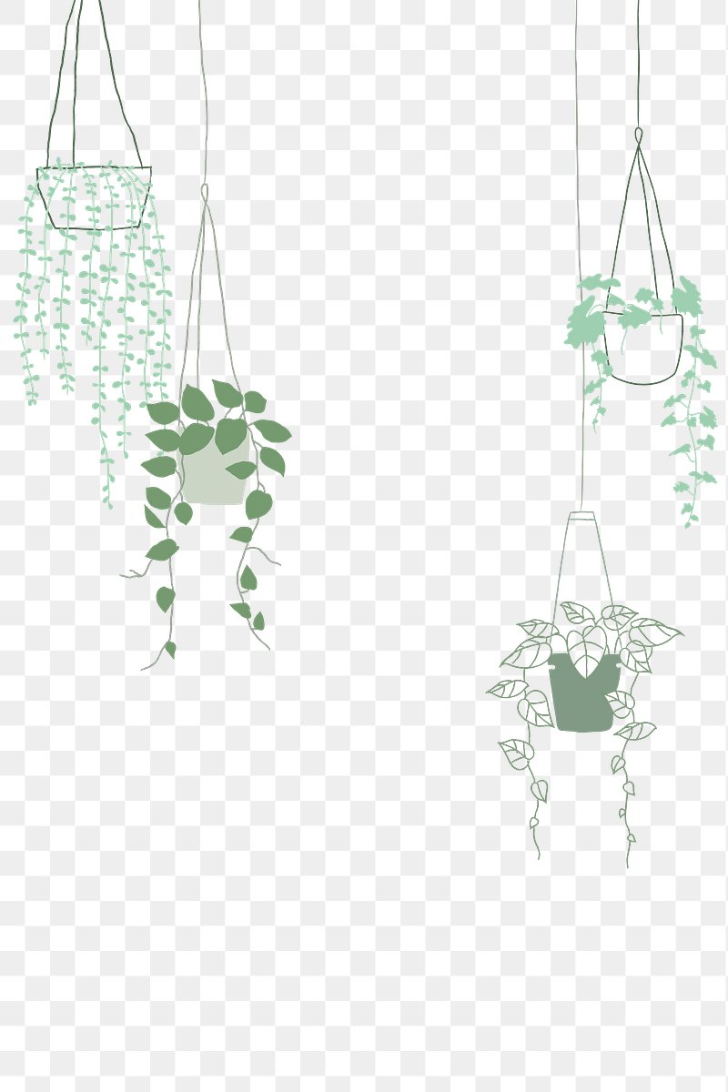 Free: Botanical Illustration Botany Plant Drawing - Jungle Plant Png -  nohat.cc