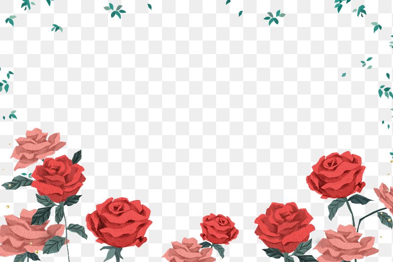 rose flower design border png
