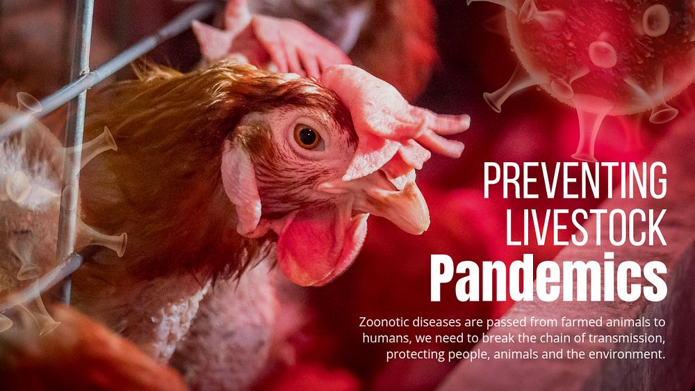 Bird flu ppt presentation template, farming industry design