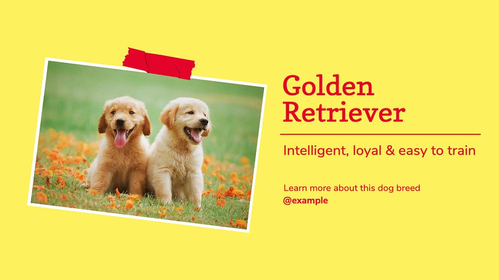 Golden retriever blog banner template, editable ad