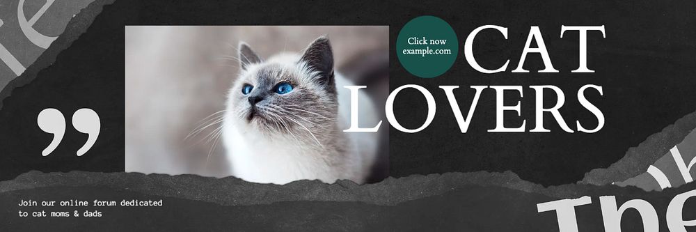 Cat lover email header template, editable design