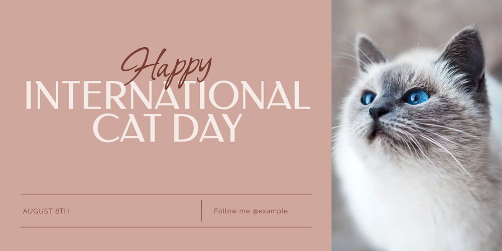 International cat day Twitter ad template, editable text & design