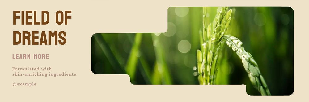 Field of dreams email header template, editable design