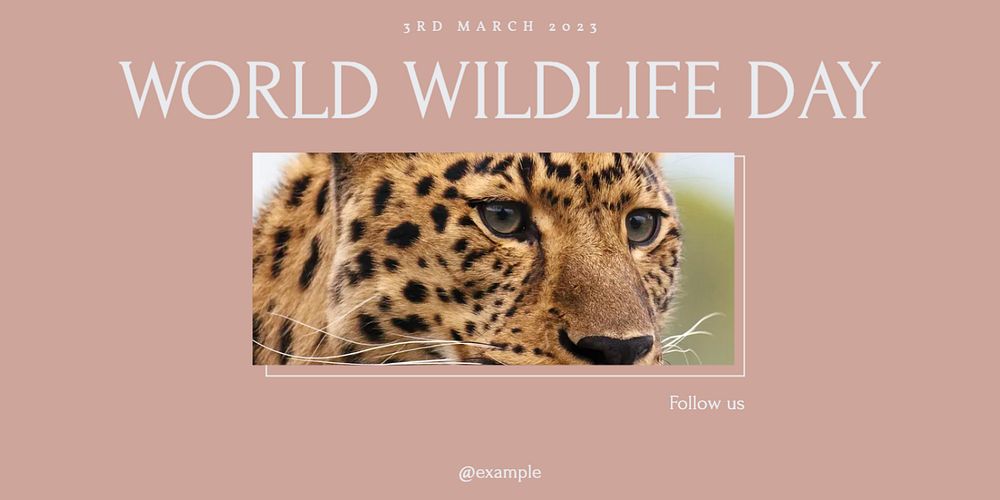 World wildlife day Twitter ad template, editable text & design