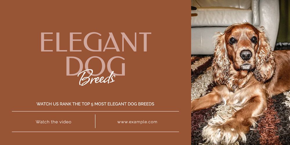 Elegant dog breeds Twitter ad template, editable text & design