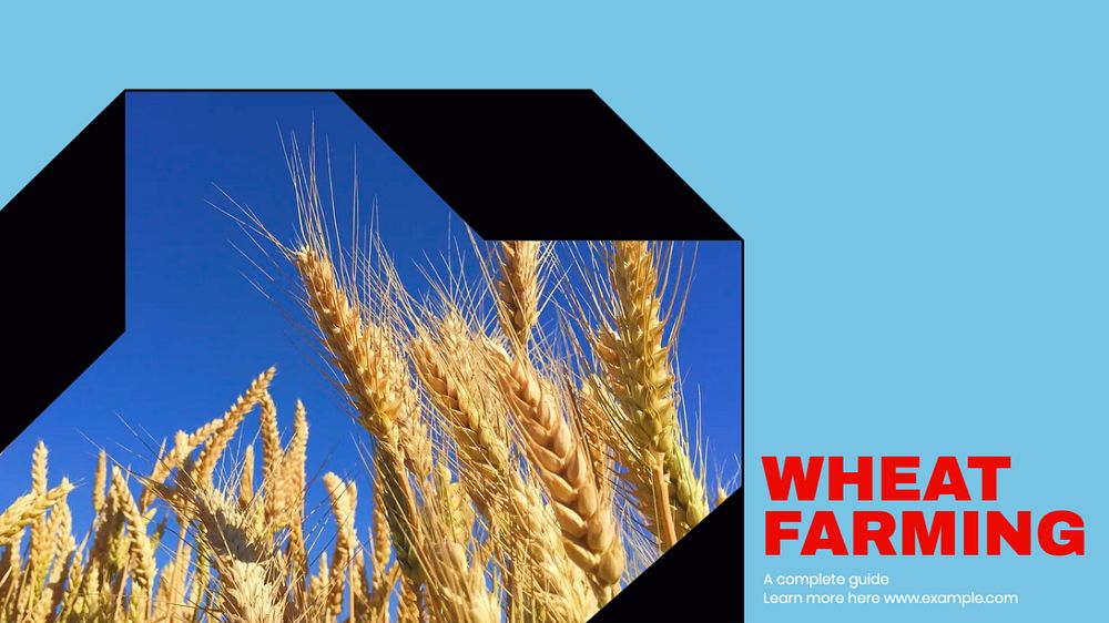 Wheat farming blog banner template, editable design