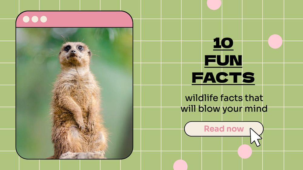 Fun facts blog banner template, editable text