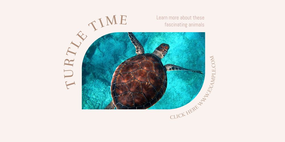 Turtles Twitter ad template, editable text & design