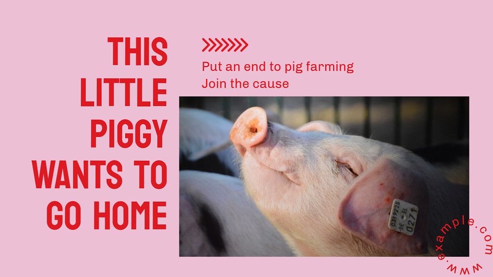 Pig farming blog banner template, editable design