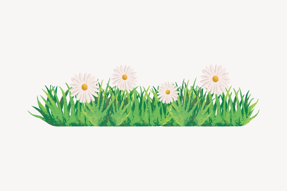 Editable daisy grass  , painting illustration