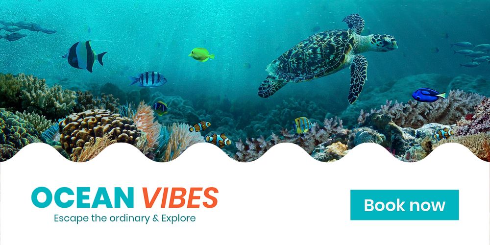 Ocean adventures Twitter post template, summer travel