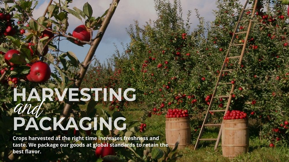 Fruit harvest blog banner template, smart farming design