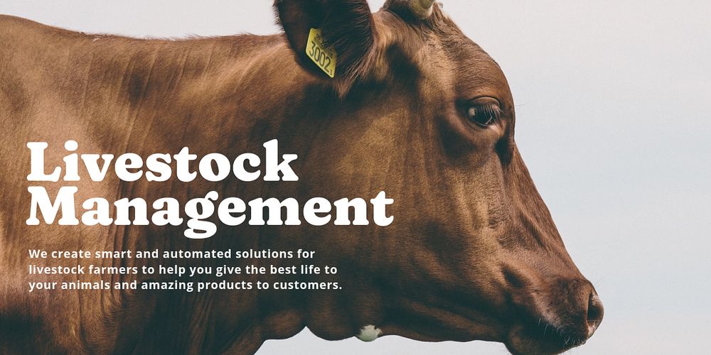 Livestock management Twitter ad template, farming industry design