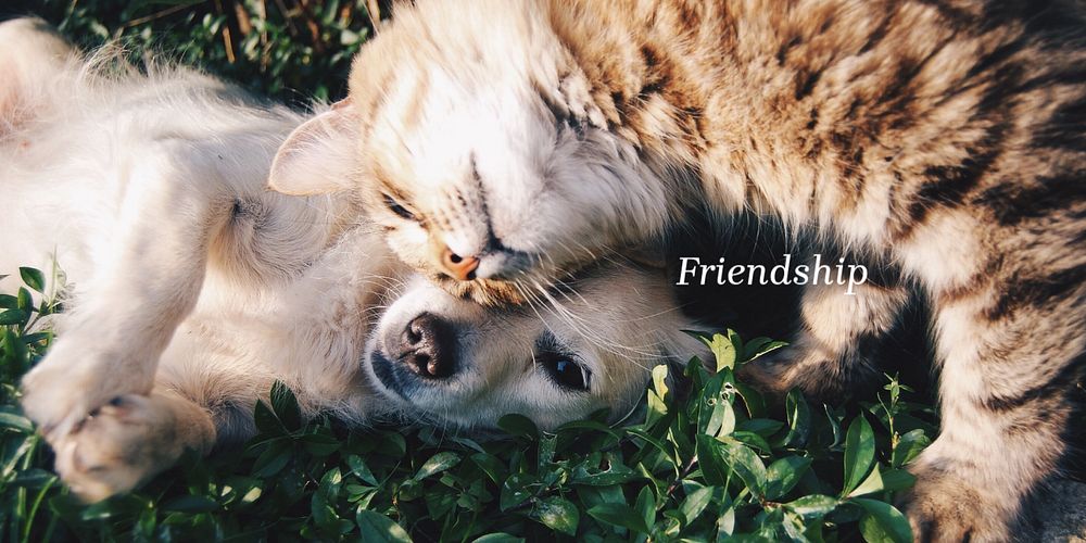 Cute pets Twitter post template, editable text