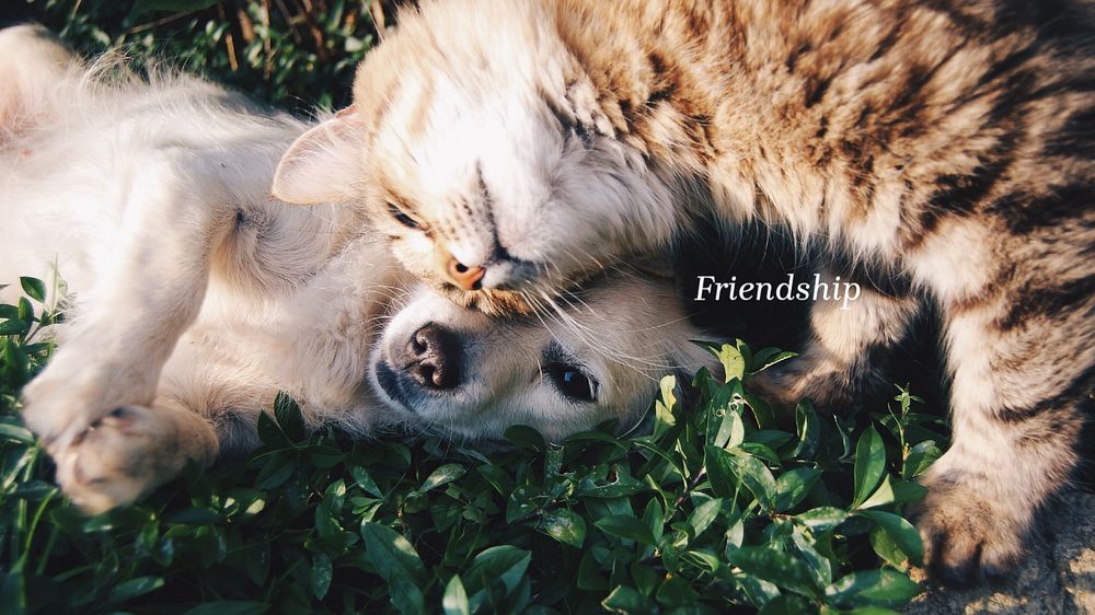 Cute pets Facebook cover template, editable text