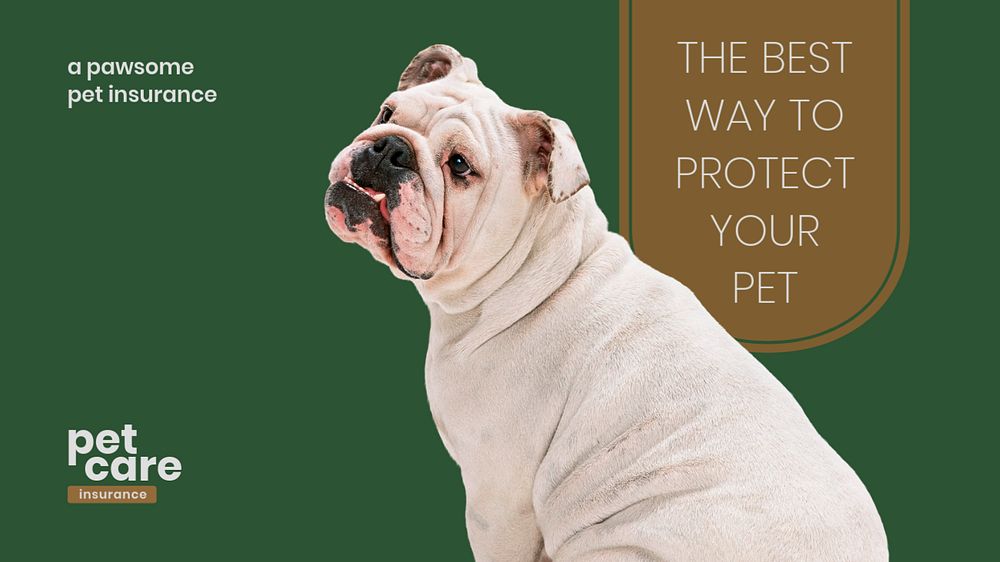 Pet insurance blog banner template, editable design