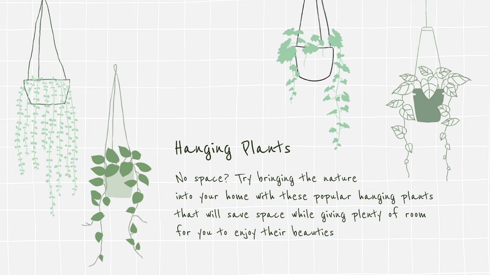 Hanging plants blog banner template, editable design