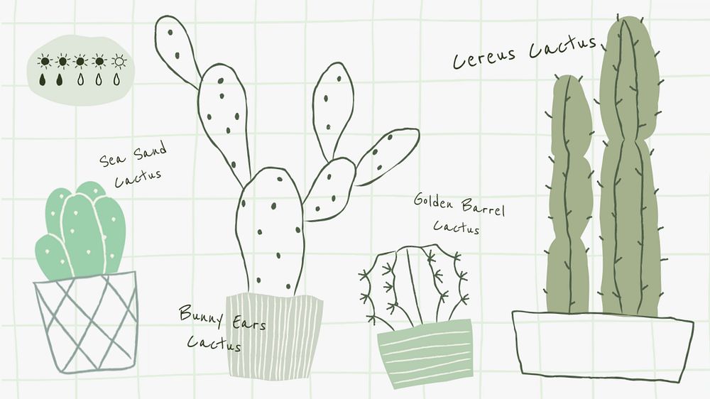 Cactus care blog banner template, editable design