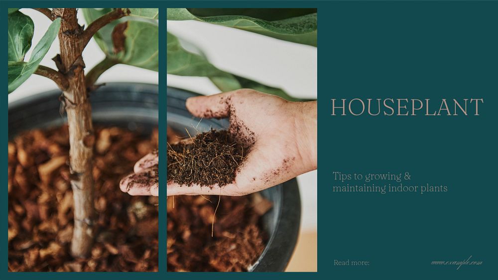 Houseplant tips blog banner template, editable design