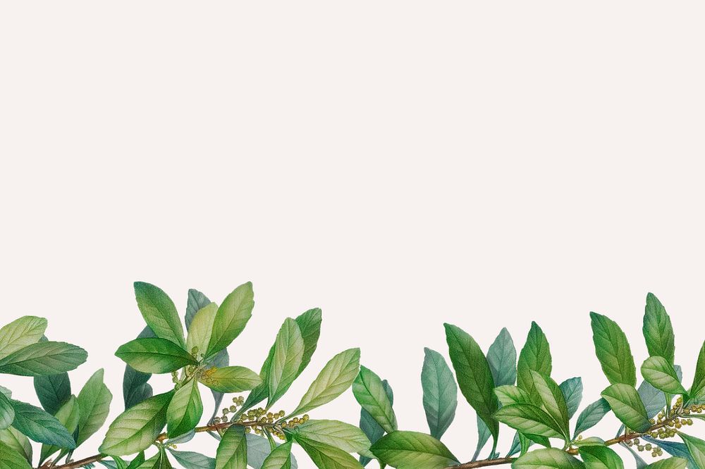 Editable leaf border beige background design