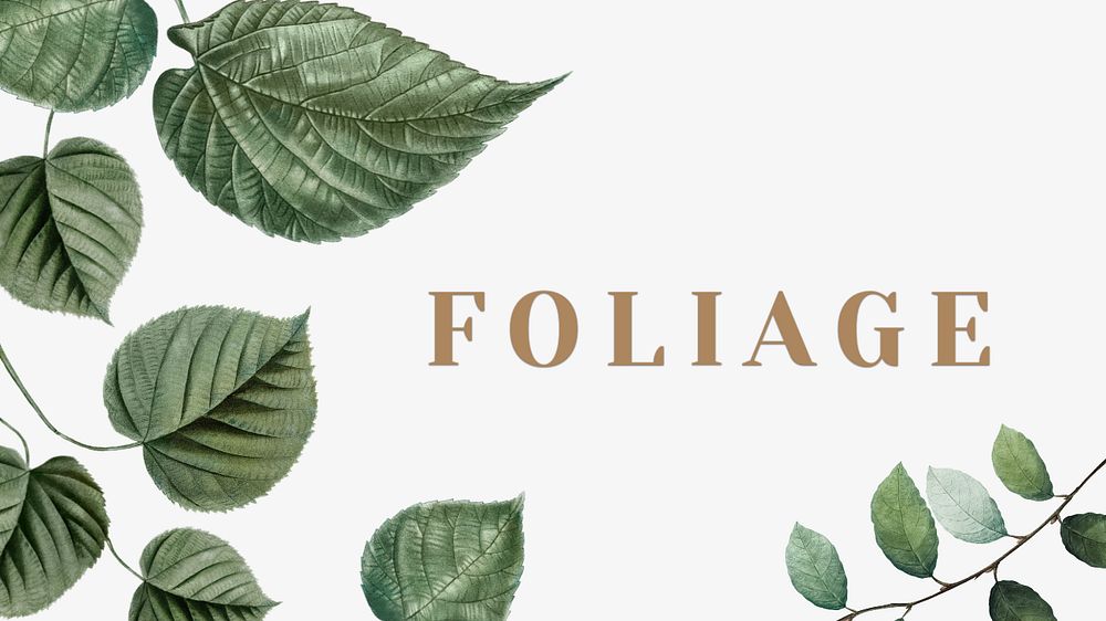 Botanical blog banner template, editable leaf border design