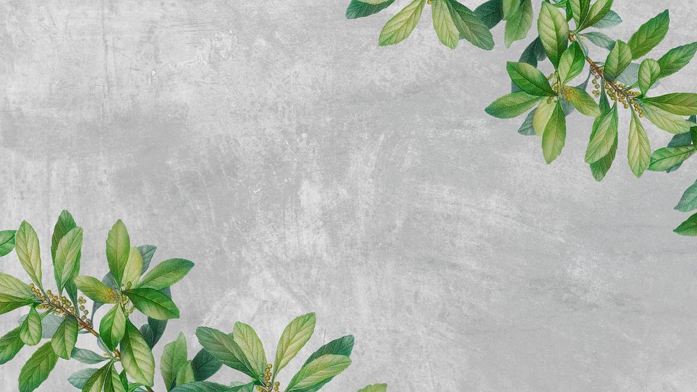 Leaf border gray desktop wallpaper, editable design