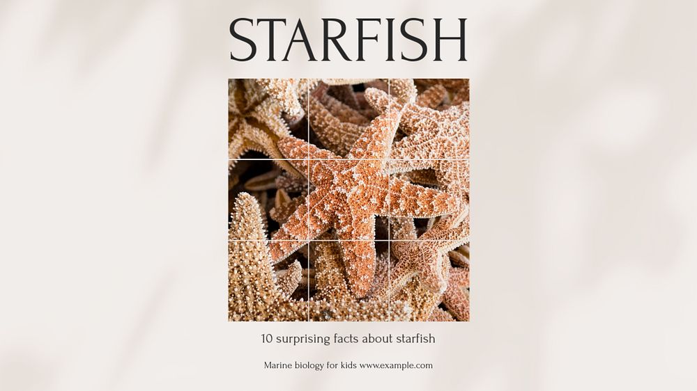 Starfish blog banner template, editable design