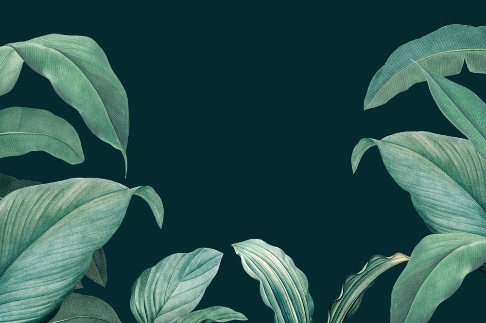 Tropical dark green background, editable design