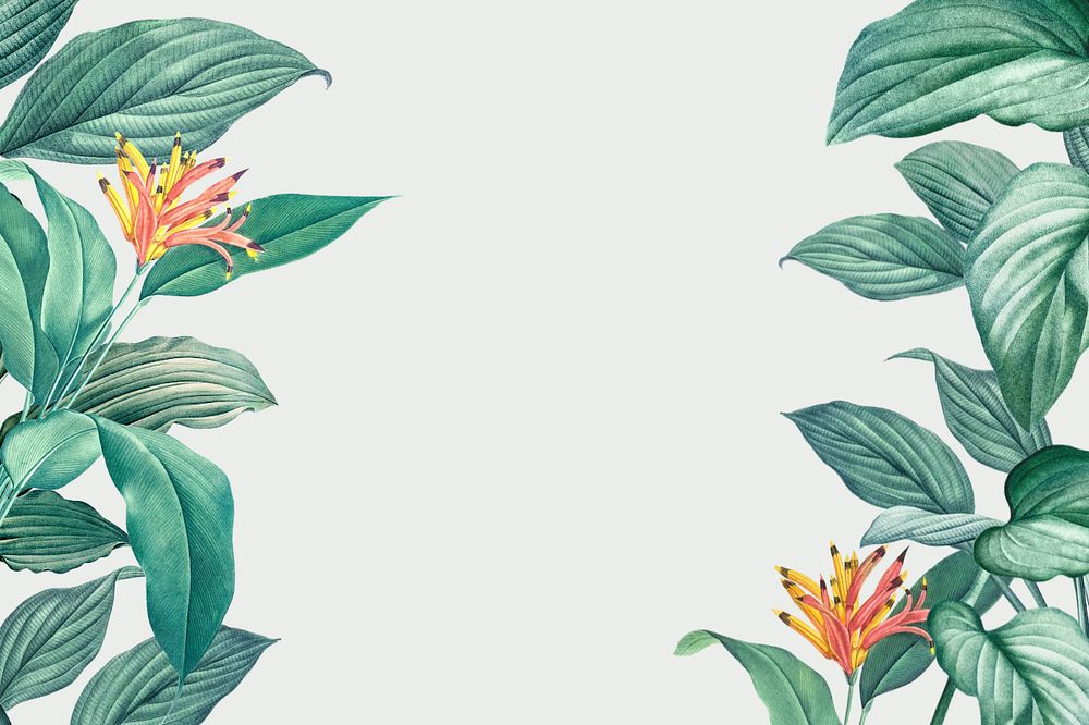 Tropical off-white background, editable floral border design