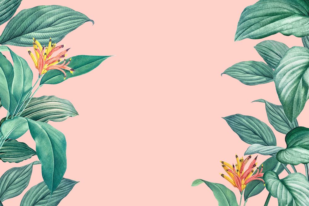 Tropical border pink background, editable floral design