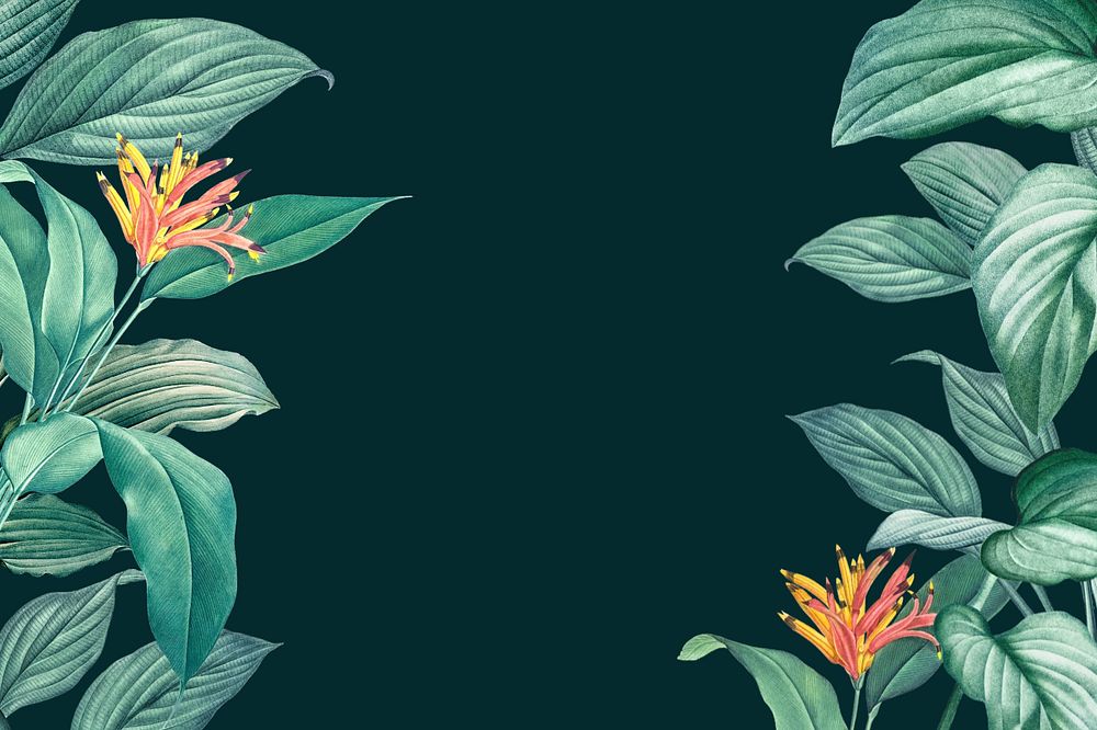 Tropical dark green background, editable floral border design