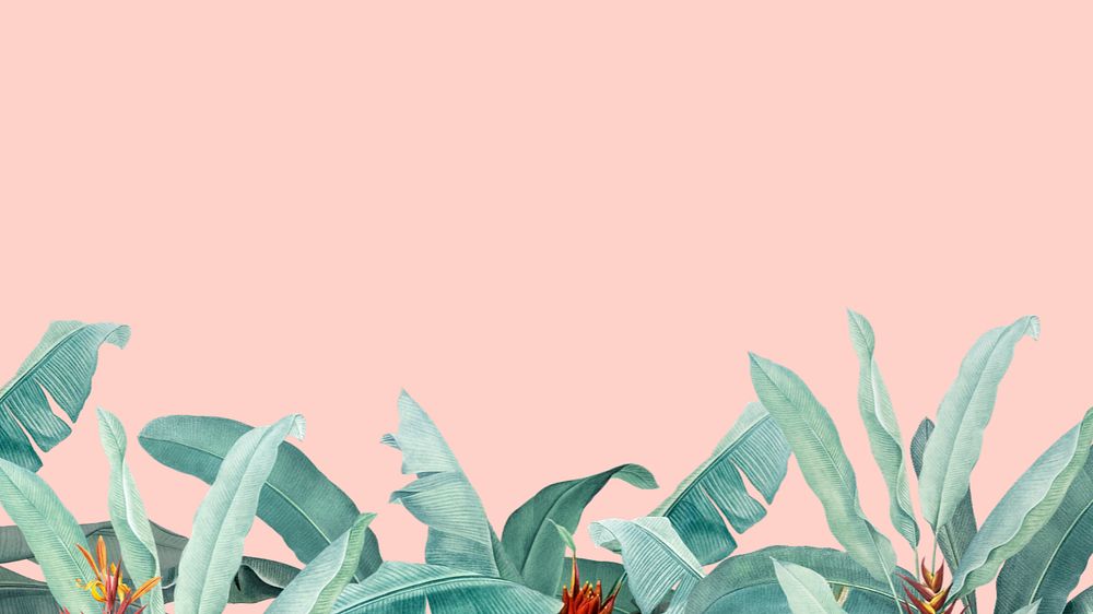 Tropical border pink desktop wallpaper, editable floral design