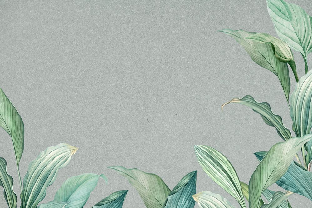 Editable leaf border gray background design