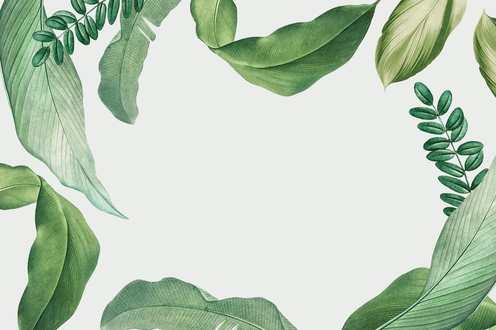 Editable tropical leaf frame background