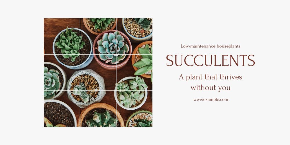 Succulents Twitter ad template, editable text