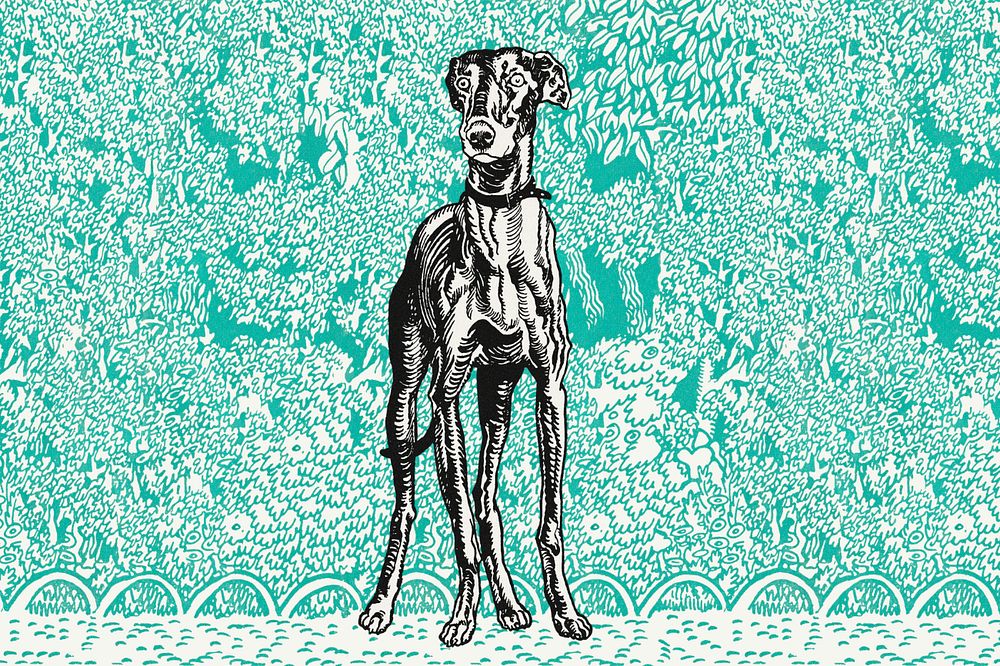 Green doodle greyhound illustration,  editable design