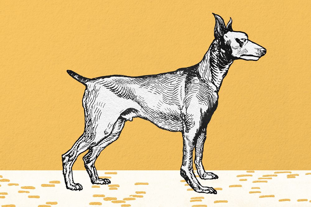 Yellow vintage doberman illustration, editable design