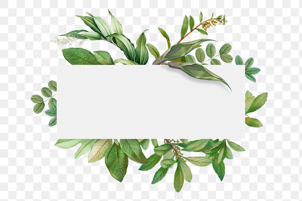 Leaf rectangle frame png element, editable design