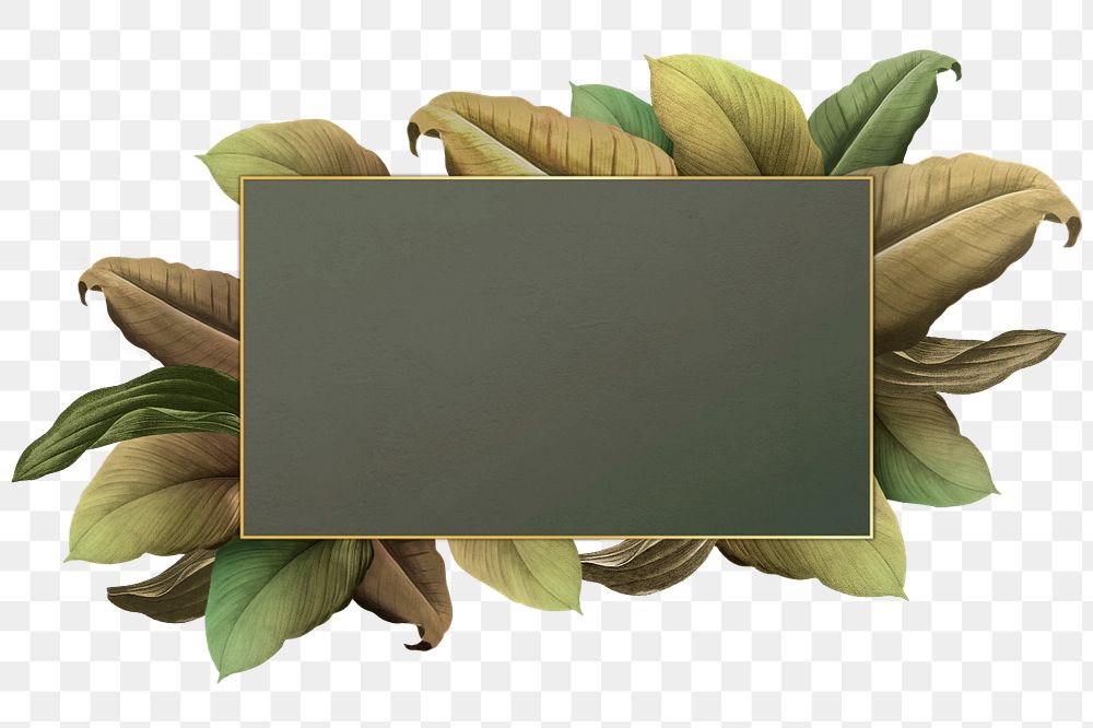 Leaf gold frame png element, editable design