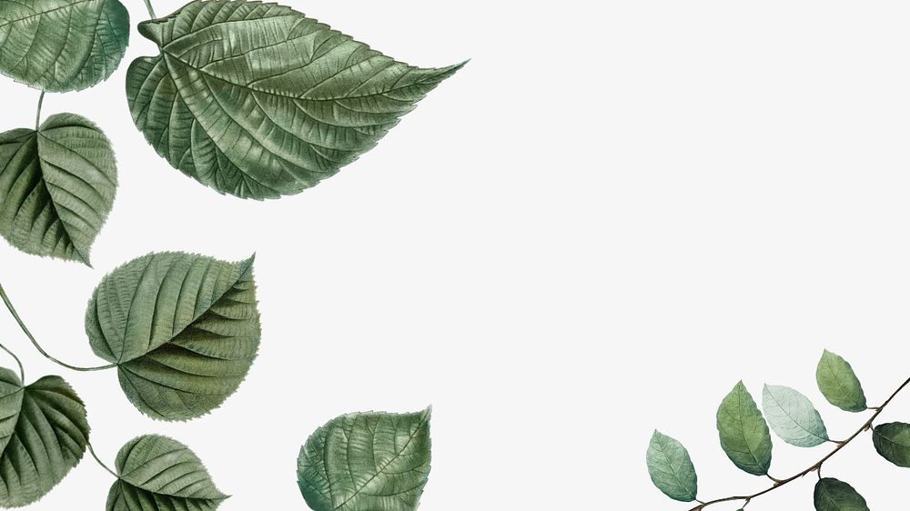 Leaf border off-white desktop wallpaper, editable tropical design