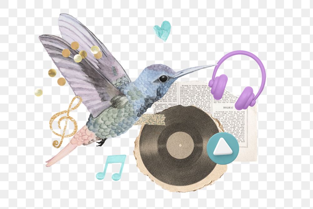 Singing bird collage remix png, transparent background, editable design