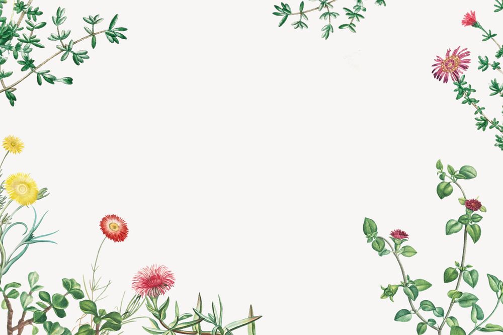 Colorful spring flowers background, off-white border, editable design